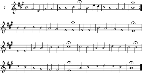 Exercise 7