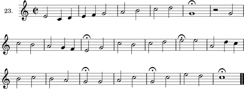 Exercise 23